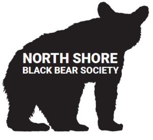 NSBBS
